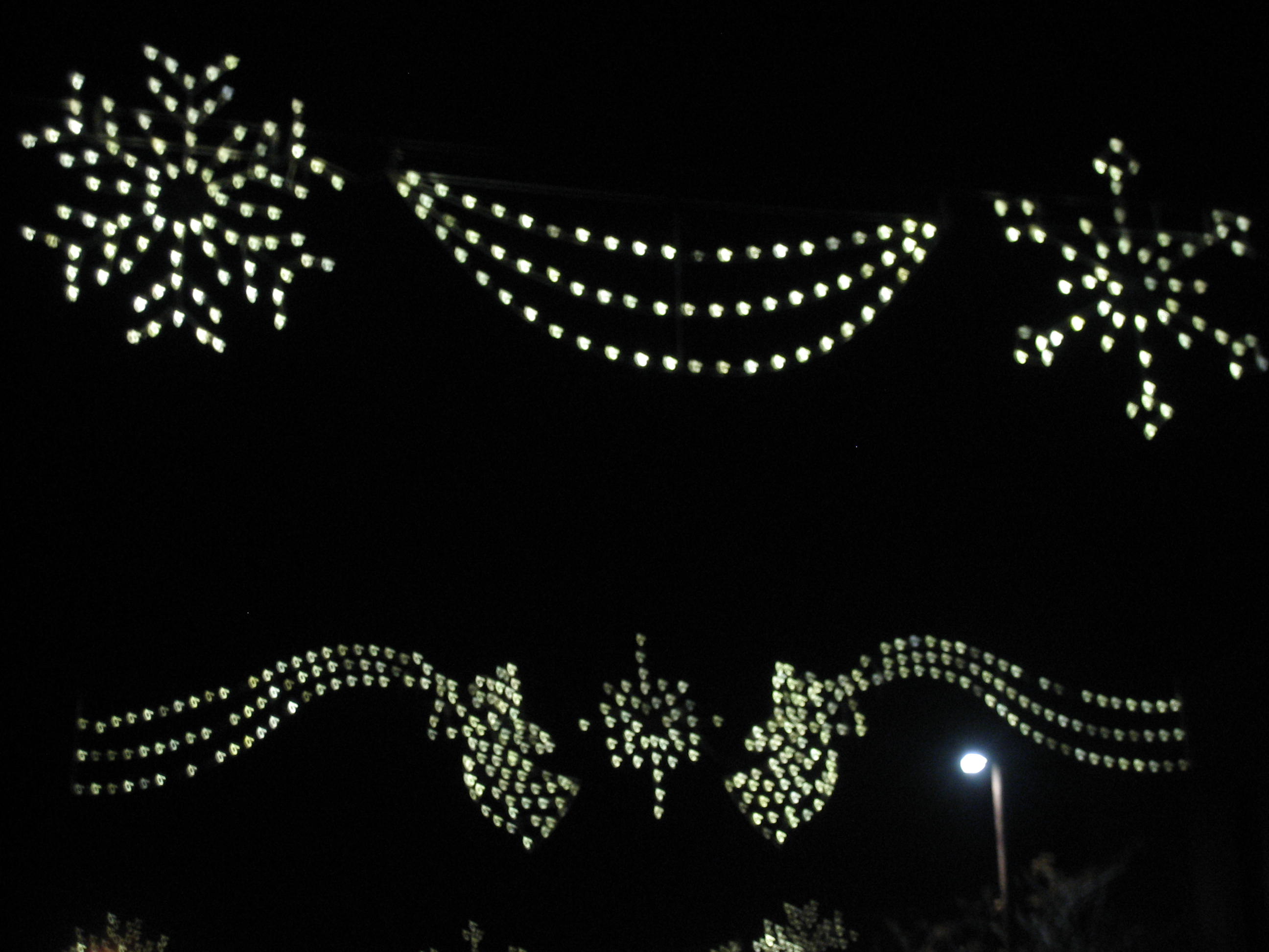 Downtown Holiday Lights