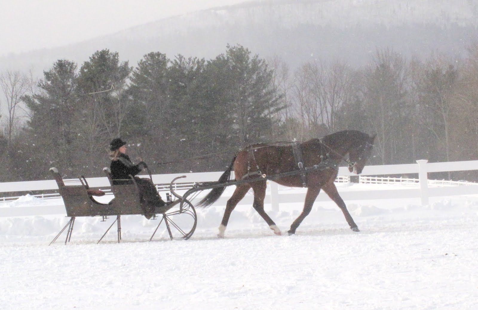 One Horse Open Sleigh