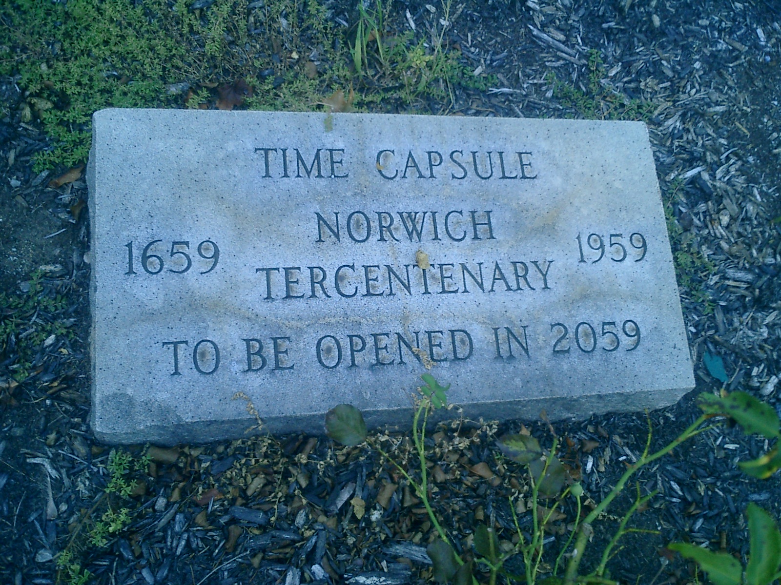 By Migdalia Calvente